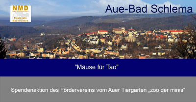 Aue-Bad Schlema - &quot;Mäuse für Tao&quot;