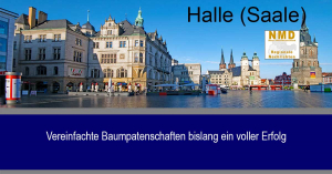 Halle (Saale) - Vereinfachte Baumpatenschaften bislang ein voller Erfolg