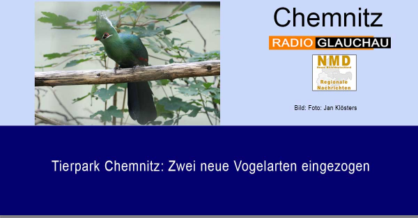 Tierpark Chemnitz: Zwei neue Vogelarten eingezogen