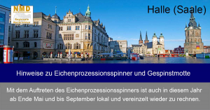 Halle (Saale) - Hinweise zu Eichenprozessionsspinner und Gespinstmotte