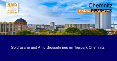 Chemnitz - Goldfasane und Amurdrosseln neu im Tierpark Chemnitz