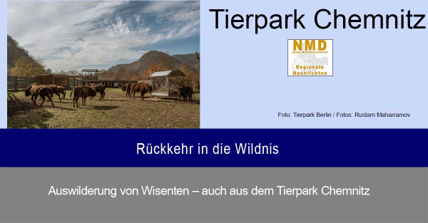 Tierpark Chemnitz - Rückkehr in die Wildnis