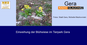 Tierpark Gera - Einweihung der Blühwiese im Tierpark Gera