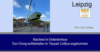 Zoo Leipzig - Don Chung wohlbehalten im Tierpark Cottbus angekommen