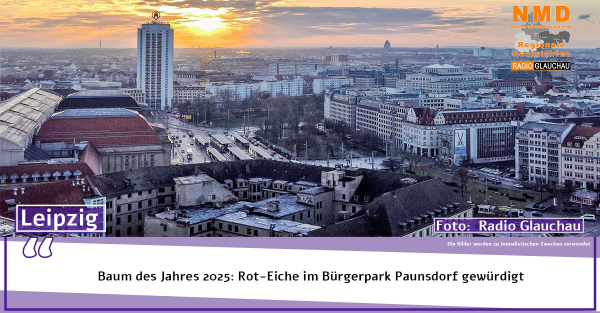 Leipzig - Baum des Jahres 2025: Rot-Eiche im Bürgerpark Paunsdorf gewürdigt