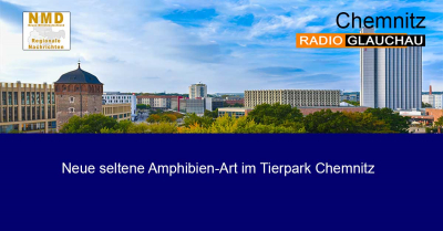Chemnitz - Neue seltene Amphibien-Art im Tierpark Chemnitz