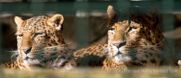 Tierpark Gera - Tierpark erhält Spende in Höhe von 500 Euro von GM Getränketechnik &amp; Maschinenbau GmbH