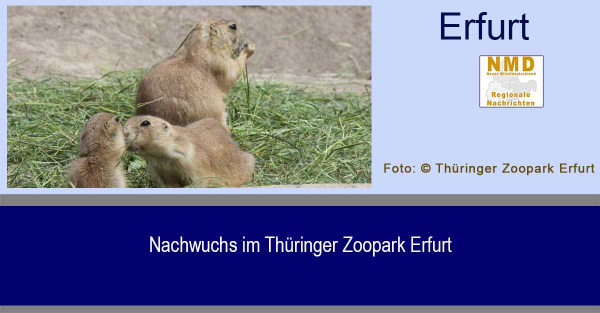 Zoo Park Erfurt - Nachwuchs im Thüringer Zoopark Erfurt