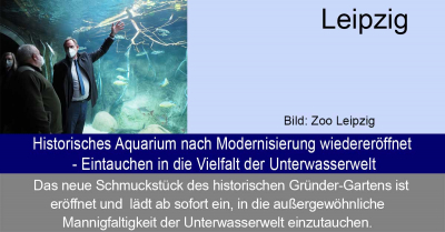 Zoo Leipzig - Historisches Aquarium nach Modernisierung wiedereröffnet - Eintauchen in die Vielfalt der Unterwasserwelt